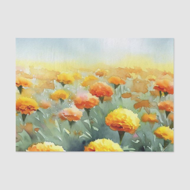 Papier Mousseline Champ de fleurs-Marigold (A) Aquarelle (Recto)