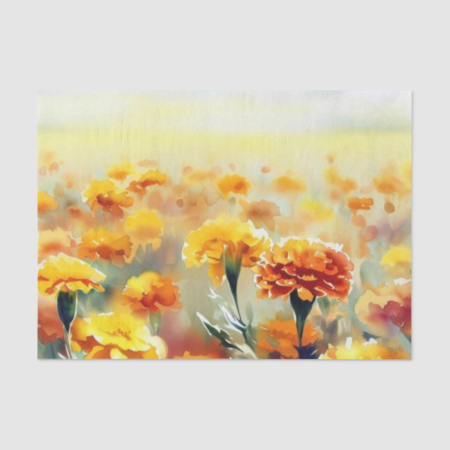 Papier Mousseline Champ de fleurs-marigold (D) Aquarelle (Recto)