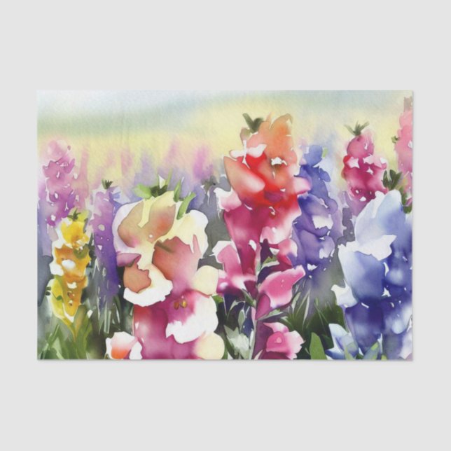 Papier Mousseline Champ de fleurs-Snapdragon (A) Aquarelle (Recto)