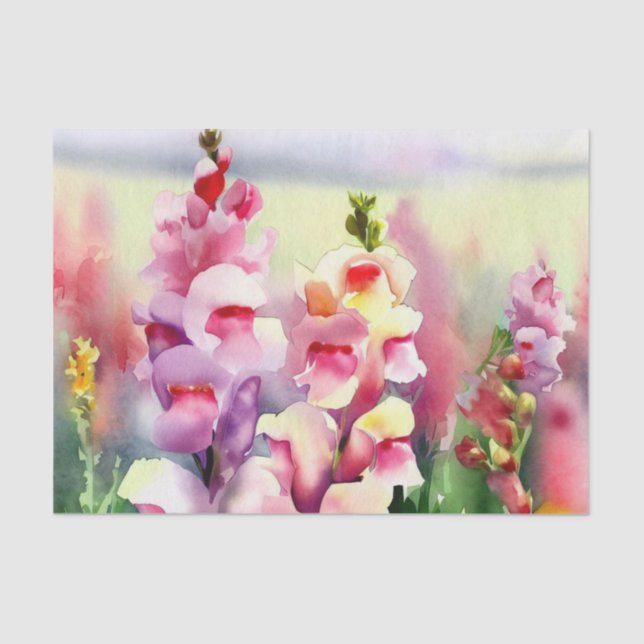 Papier Mousseline Champ de fleurs-Snapdragon (C) Aquarelle (Recto)