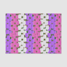 Champ Tulipe de printemps