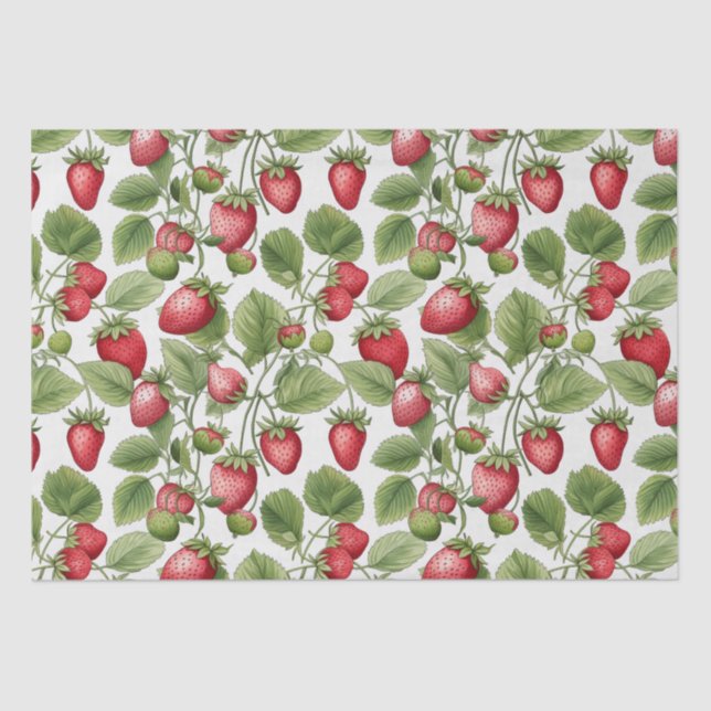 Papier Mousseline Champs de fraises (Recto)