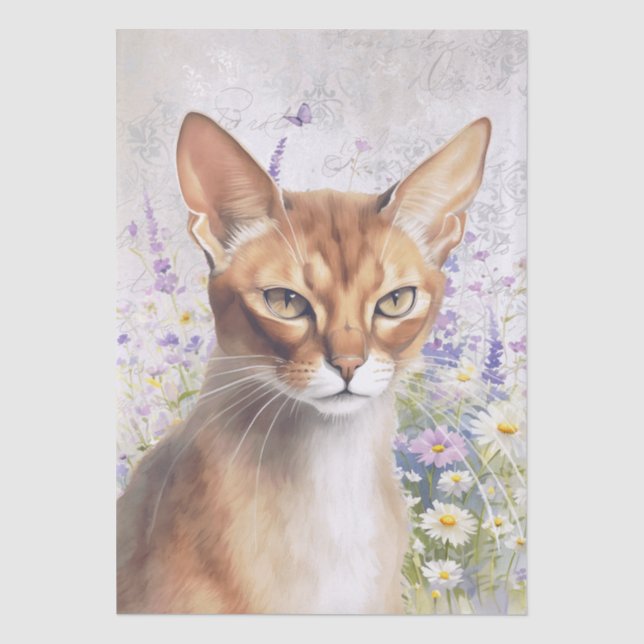 Papier Mousseline Chat Abyssin Aquarelle (Recto)
