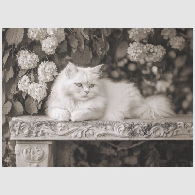 Papier Mousseline Chat blanc dans le jardin de fleurs découpage (Recto)