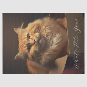 Papier Mousseline Chat Dans La Boîte À Chaussures - Chat Sarcastique