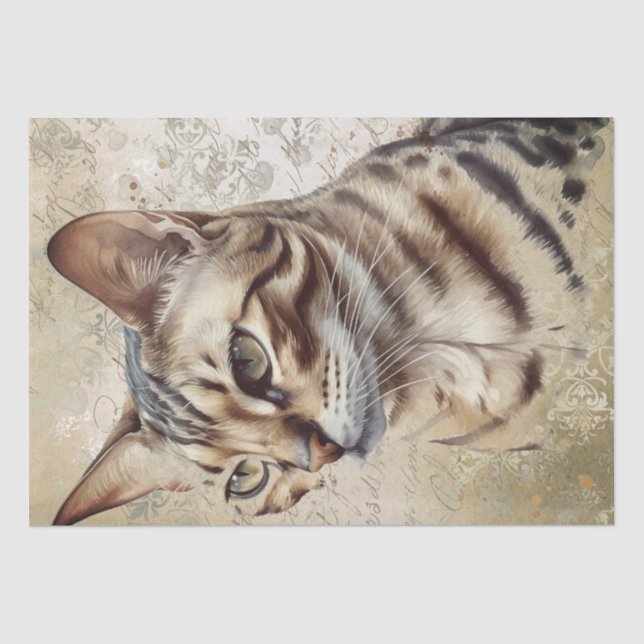 Papier Mousseline Chat du Bengale (Recto)