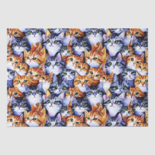 Papier Mousseline Chat face collage gingembre gris chatons chatons