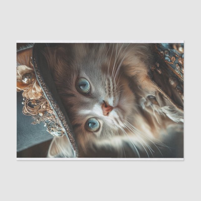 Papier Mousseline Chat Lyfe2 (Recto)