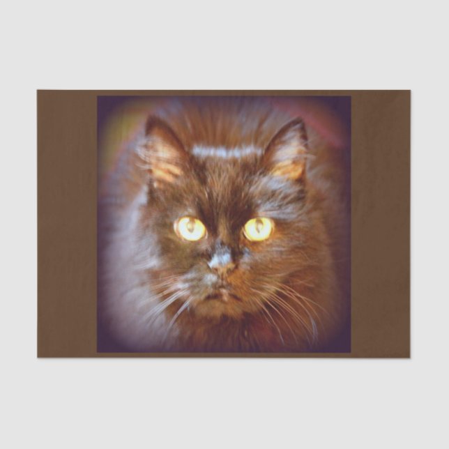 Papier Mousseline chat noir (Recto)