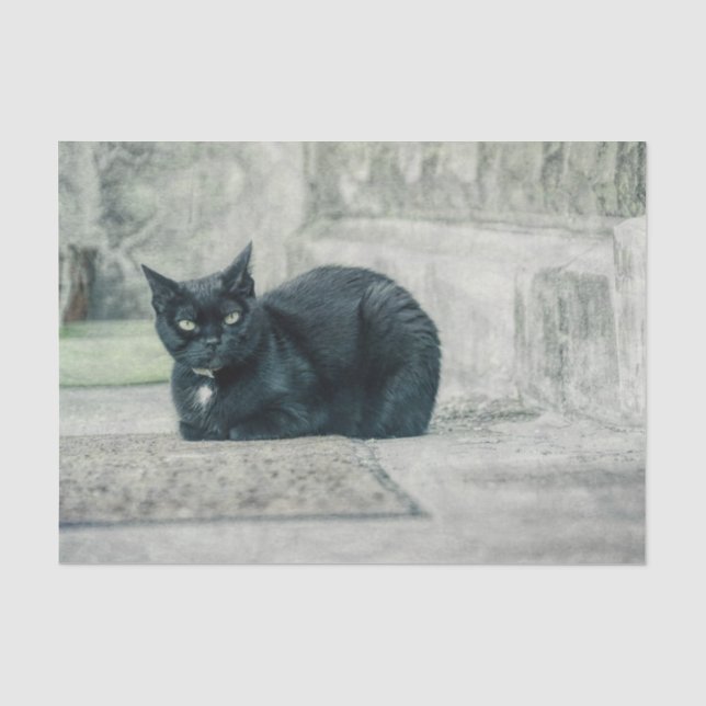 Papier Mousseline Chat Noir Mignon Vintage Antique Découpage (Recto)