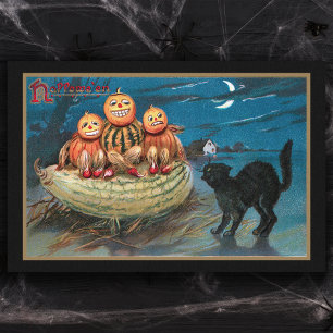 Papier Mousseline Chat noir vintage et Citrouilles amusants
