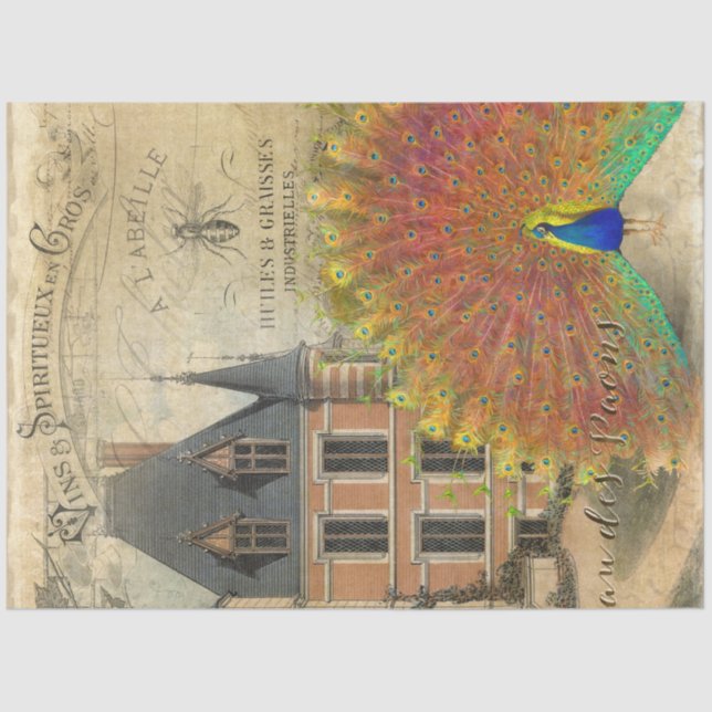 Papier Mousseline Château Vintage Peacock Ephemera Découpage (Recto)