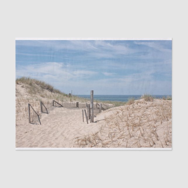 Papier Mousseline Chemin dans le sable à la plage (Recto)