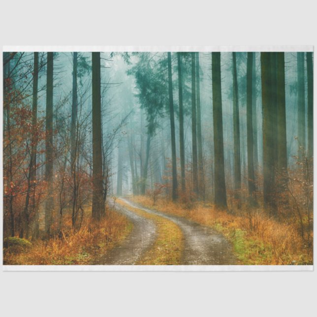 Papier Mousseline Chemin forestier Automne 13 Découpage Papier papie (Recto)