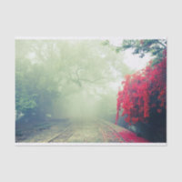 Chemins de fer Misty Photo Pittoresque