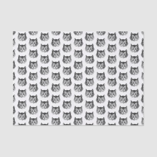 Papier Mousseline Cheshire Cat Alice au pays des merveilles (Recto)