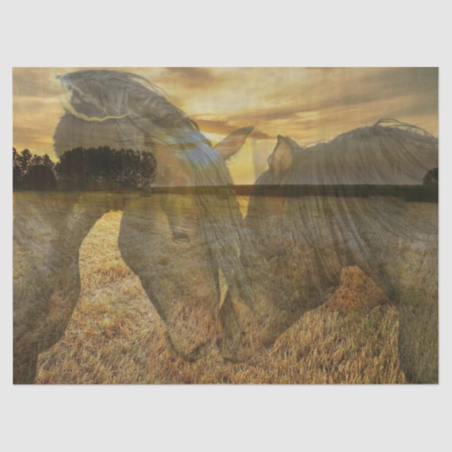 Papier Mousseline Cheval (Recto)