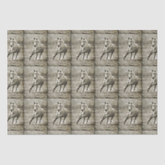 Papier Mousseline Cheval andalou russe galopant