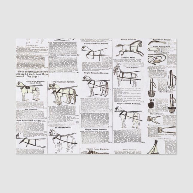 Papier Mousseline Cheval Antique Publicité Journal Art (Recto)