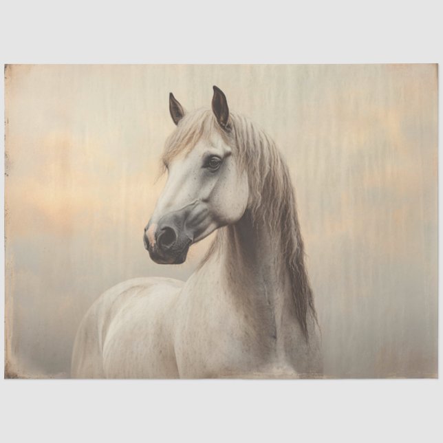Papier Mousseline Cheval Arabe Peinture Découpage Trouvé (Recto)