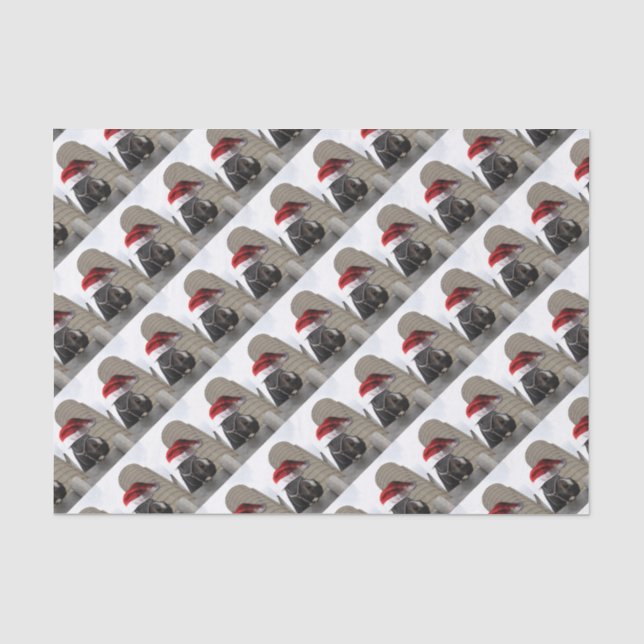 Papier Mousseline Cheval avec Santa Hat (Recto)