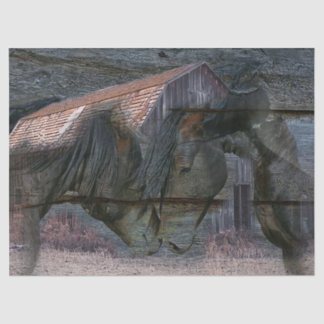 Papier Mousseline Cheval Barn Spirit (Recto)