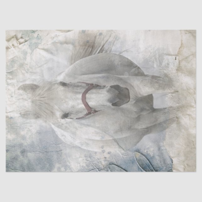 Papier Mousseline Cheval blanc (Recto)