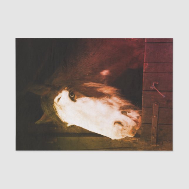 Papier Mousseline Cheval Brown à la ferme Juste une fille qui aime l (Recto)