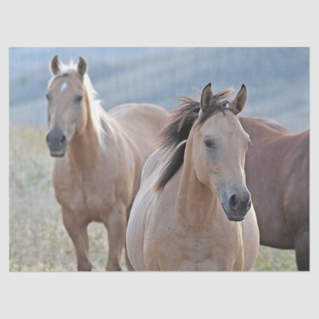 Papier Mousseline Cheval de couleur (Recto)