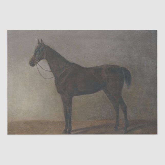 Papier Mousseline Cheval de la baie de Gelding (par Albrecht Adam) (Recto)