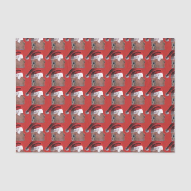 Papier Mousseline Cheval de Noël du Père Noël (Recto)