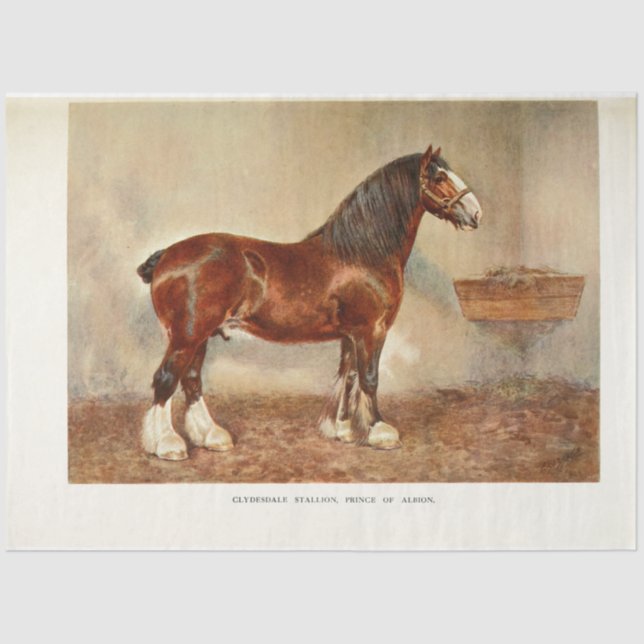 Papier Mousseline Cheval Decoupage Vintage Clydesdale Stallion (Recto)