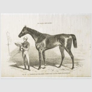 Papier Mousseline Cheval Ephemera Découpage Français Vintage