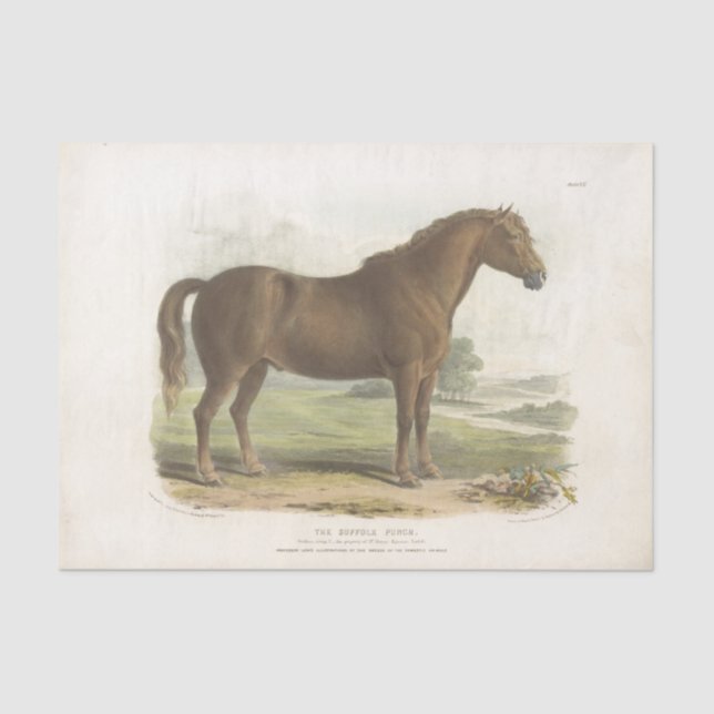 Papier Mousseline Cheval Ephemera Decoupage Vintage Suffolk (Recto)