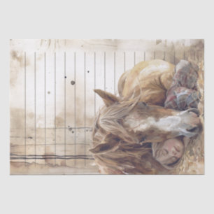 Papier Mousseline Cheval Et Fille En Grange Dormir "Meilleurs amis"
