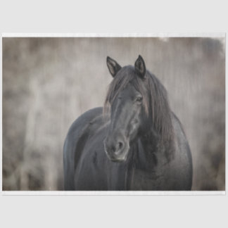 Papier Mousseline Cheval foncé