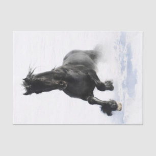 Papier Mousseline Cheval Friésien Noir En Neige