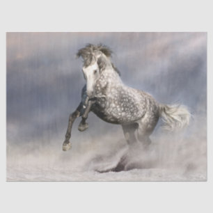 Papier Mousseline Cheval gris de la pomme andalouse