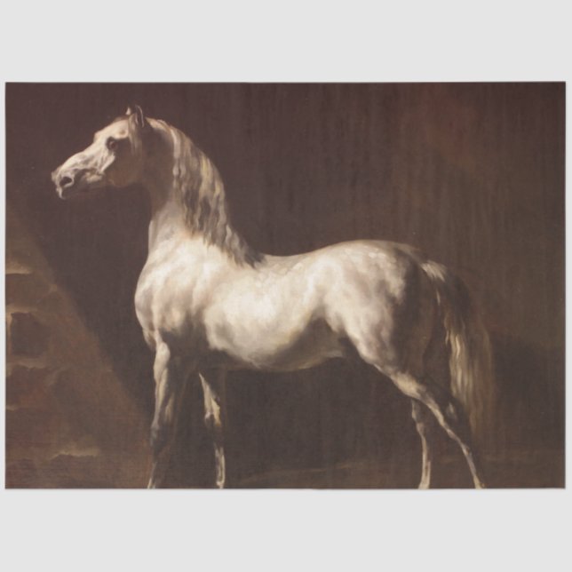 Papier Mousseline Cheval gris pomme (par Théodore Géricault) (Recto)