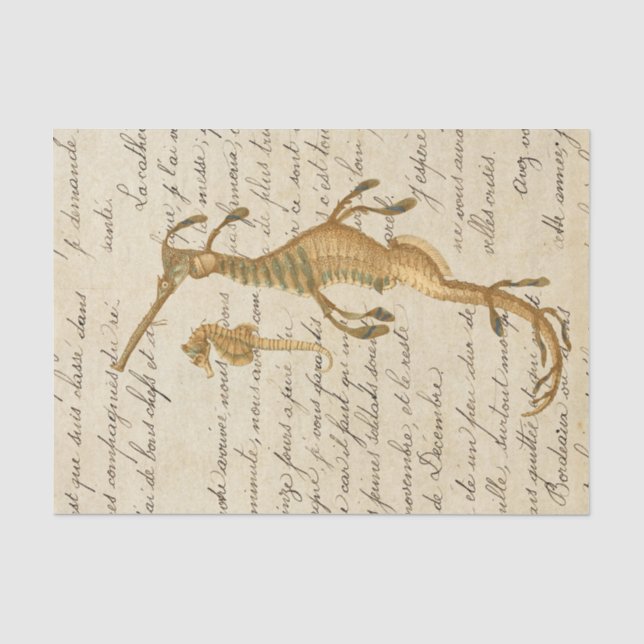 Papier Mousseline Cheval Marin Vintage (Recto)