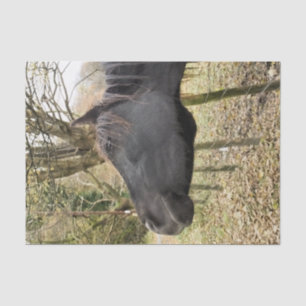 PAPIER MOUSSELINE CHEVAL NOIR