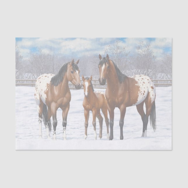 Papier Mousseline Chevaux Appaloosa De Baie Brown En Neige (Recto)