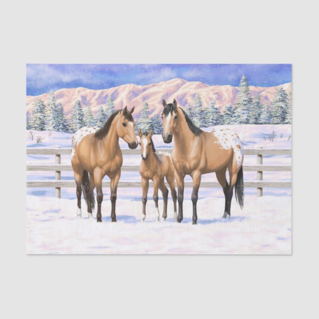 Papier Mousseline Chevaux Appaloosa En Peau De Bouche En Neige (Recto)