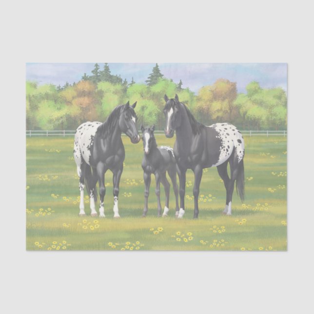 Papier Mousseline Chevaux Appaloosa Noir Dans Les Pâturages D'Été (Recto)