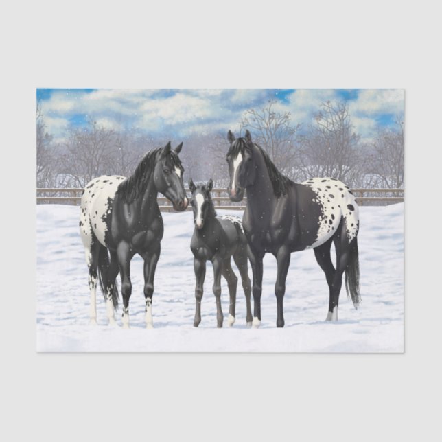 Papier Mousseline Chevaux Appaloosa Noir En Neige (Recto)