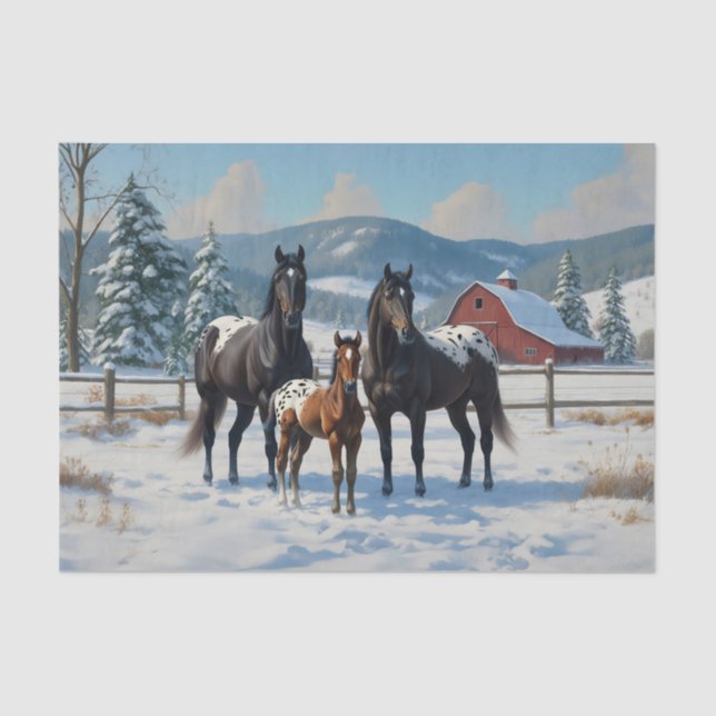 Papier Mousseline Chevaux Appaloosa noirs sur une ferme en hiver (Recto)