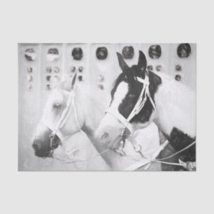 Papier Mousseline Chevaux Country Rustique Noir Et Blanc Western