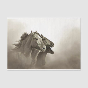 Papier Mousseline Chevaux courir avec Arrière - plan orageux