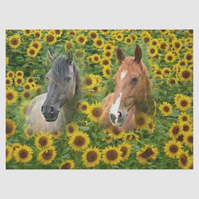 Papier Mousseline Chevaux dans le champ de tournesol (Recto)