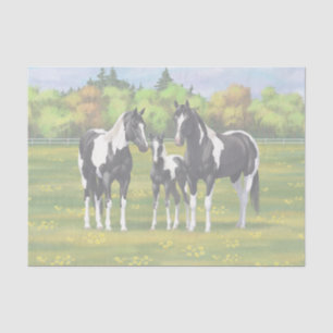 Papier Mousseline Chevaux De Peinture De Pinto Noir En Pâturage Été